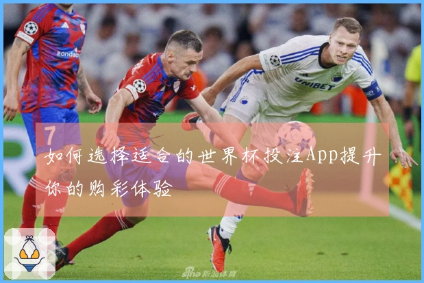 如何选择适合的世界杯投注App提升你的购彩体验
