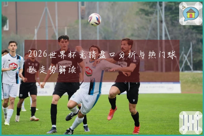 2026世界杯竞猜盘口分析与热门球队走势解读