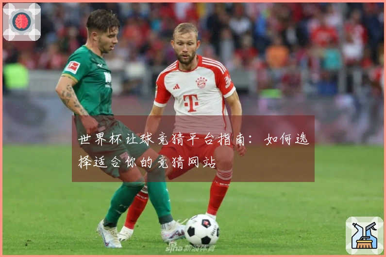 世界杯让球竞猜平台指南：如何选择适合你的竞猜网站