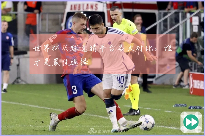 世界杯买球竞猜平台各大对比，谁才是最佳选择