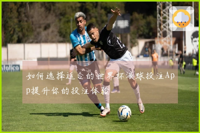 如何选择适合的世界杯滚球投注App提升你的投注体验