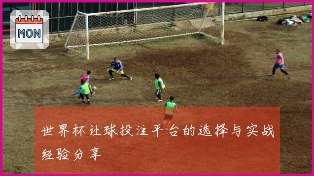 世界杯让球投注平台的选择与实战经验分享